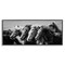 Stupell Industries Monochrome Horse Herd Gallop Framed Giclee By PHBurchett